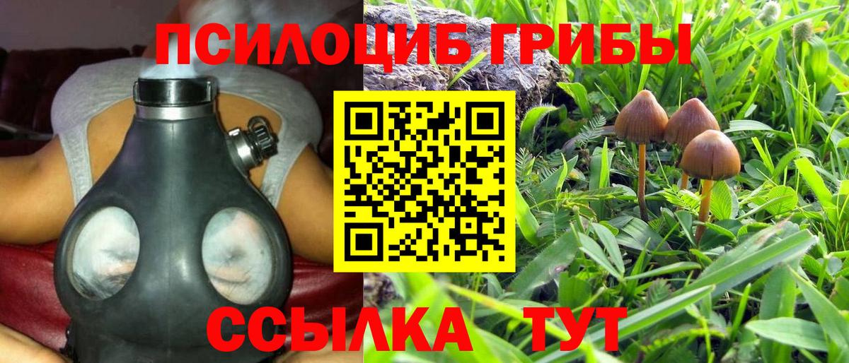 Галлюциногенные грибы мухоморы  Вход с VPN  Тавда 